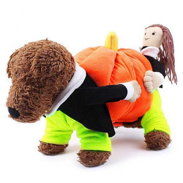 Disfraz Pumpkin