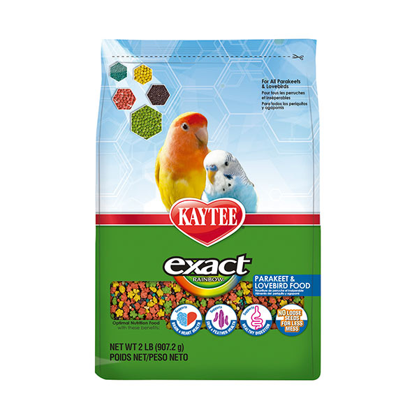 Exact Rainbow Periquito Australiano Exact Rainbow Periquito Australiano