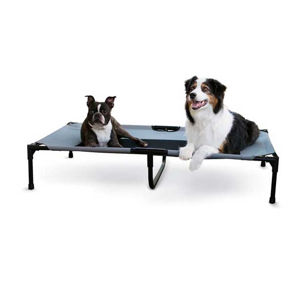 cama para perro