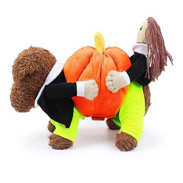 Disfraz Pumpkin