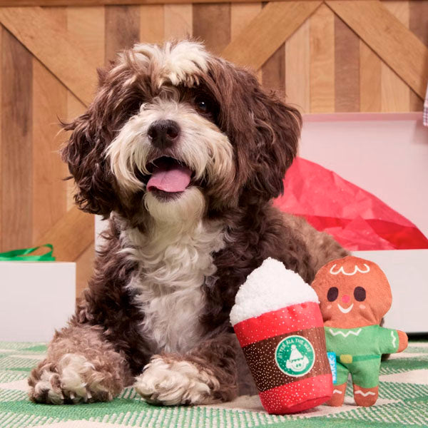 Lucho Box Perro Edición Navidad