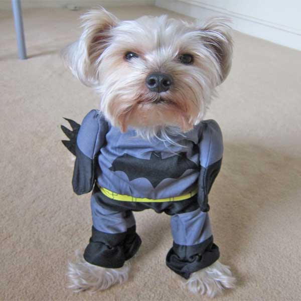 Disfraz Batman