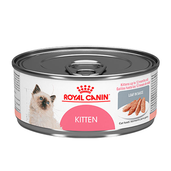 alimento para gato Royal Canin 